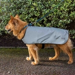 veste-réfléchissante-pour-chien