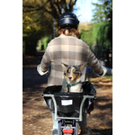 bacatail-chien
