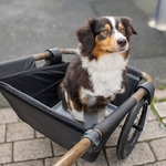 remorque-chien-globe-for-you-16-pouces