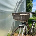 panier-velo-solide-velo-nakamura