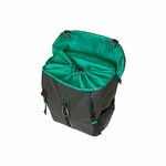 basil-discovery-M-9L