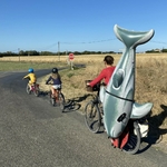 sacoche-velo-originale-bakkie-cycles