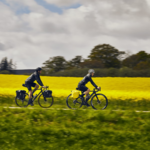 sacoche-double-velo-sacoche-randonnee-thule-shield-25-l