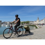 caddie-velo-shopping-trailer-arriere-bike-original