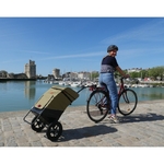 caddie-velo-shopping-trailer-arriere-bike-original-compact-et-polyvalent-fixation-simple-au-vélo