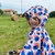cape-de-pluie-resistante-enfant-le-temps-des-grenouilles-impermeable-fonction-coupe-vent-tissu-polyester-bleu-lagon