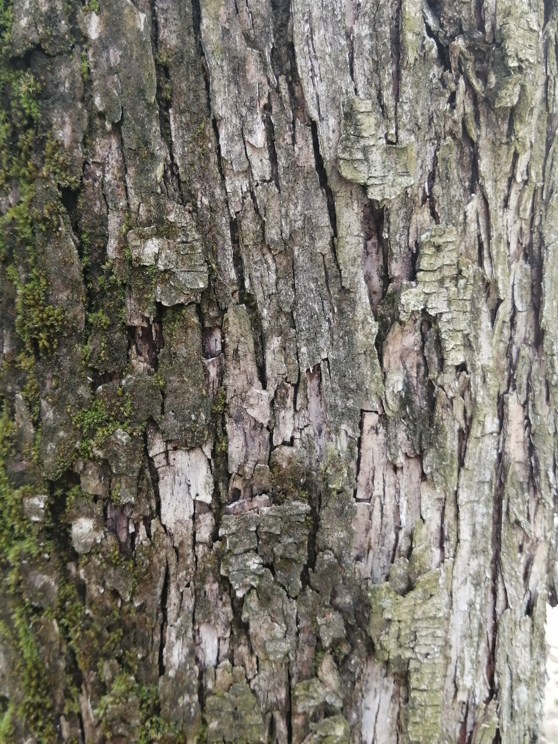 img 20201004 133534