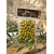 Olives Picholines - Confiserie d'olives Ricard - sous vide 250g