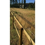 IMG-20210701-WA0001 (1)