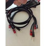 00fcdbdb-4e4e-4ab2-8db5-e6d8f81c3445