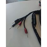IMG20261009162902~2