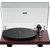 debut-carbon-evo-ii-pick-it-mm-evo-bordeaux-satine-66d08ecebd0f15.16489799