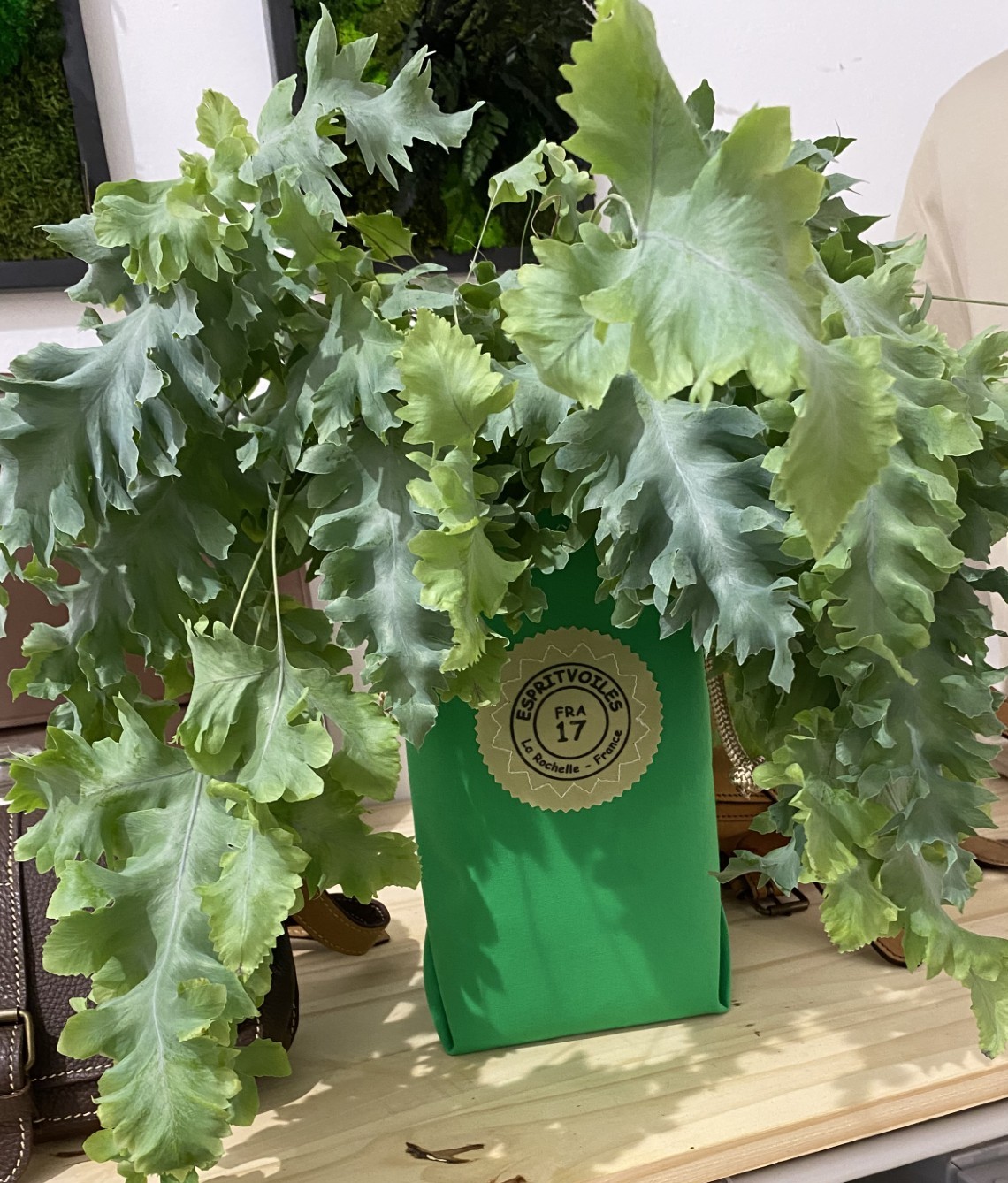 Ice bag vert vif avec une plante