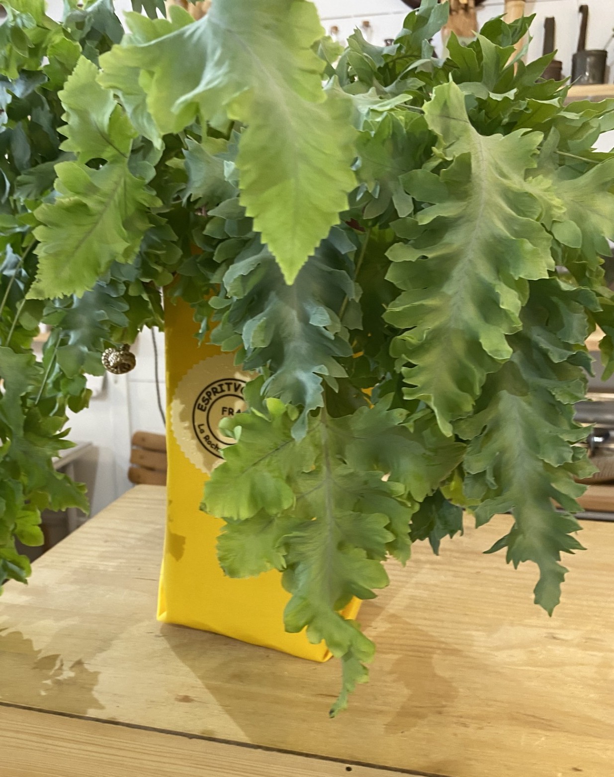 Ice Bag jaune avec une plante