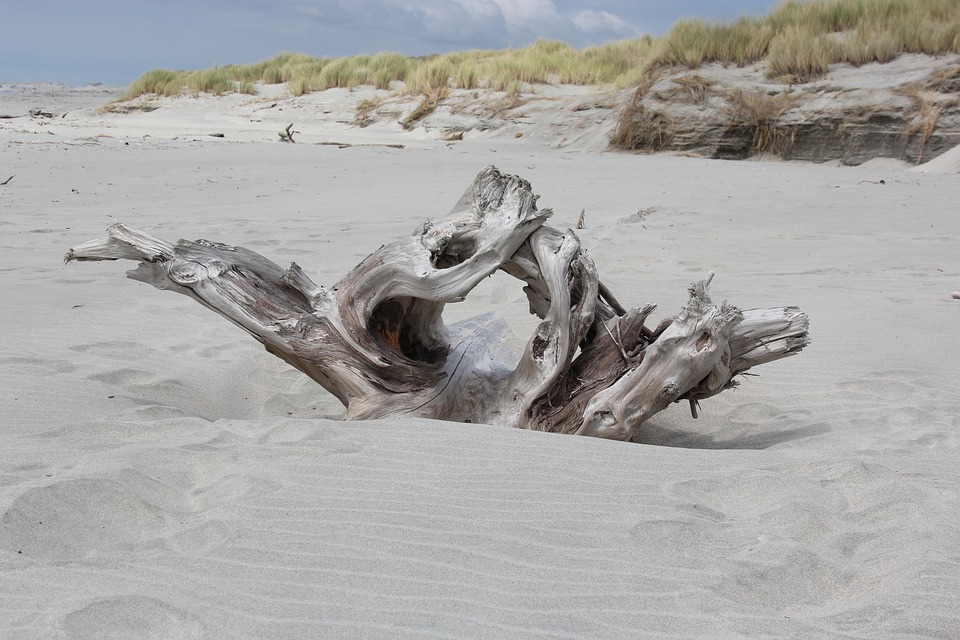 Le bois flotté : un cadeau de la nature - bois flotté - art & ocean