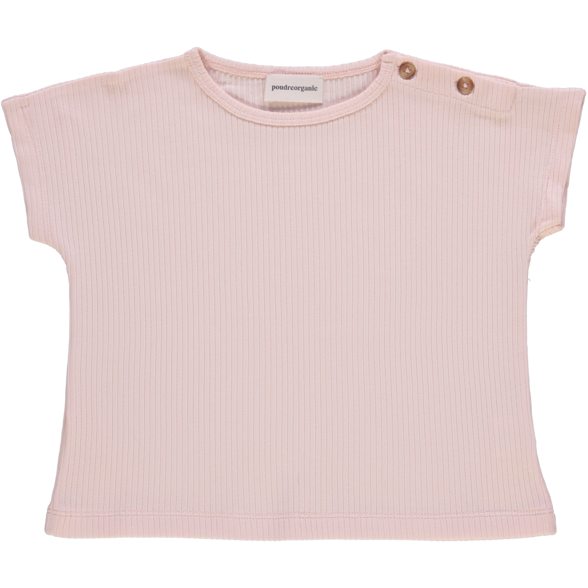 T-SHIRT DIGITAL Scallop Shell 3A 2048x2048p