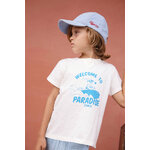 BC90013-423_BC10153-110_1cd2040b-f213-4e1c-9c75-bd06268ac0c9