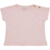 T-SHIRT DIGITAL Scallop Shell 3A 2048x2048p