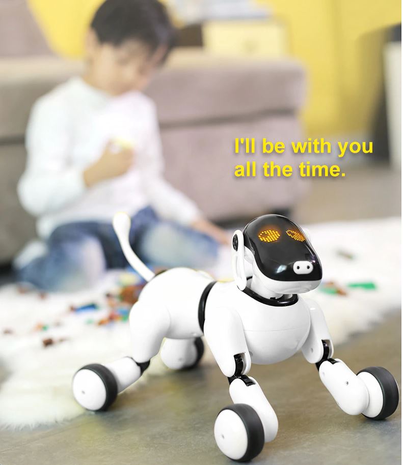 Chien robot 6