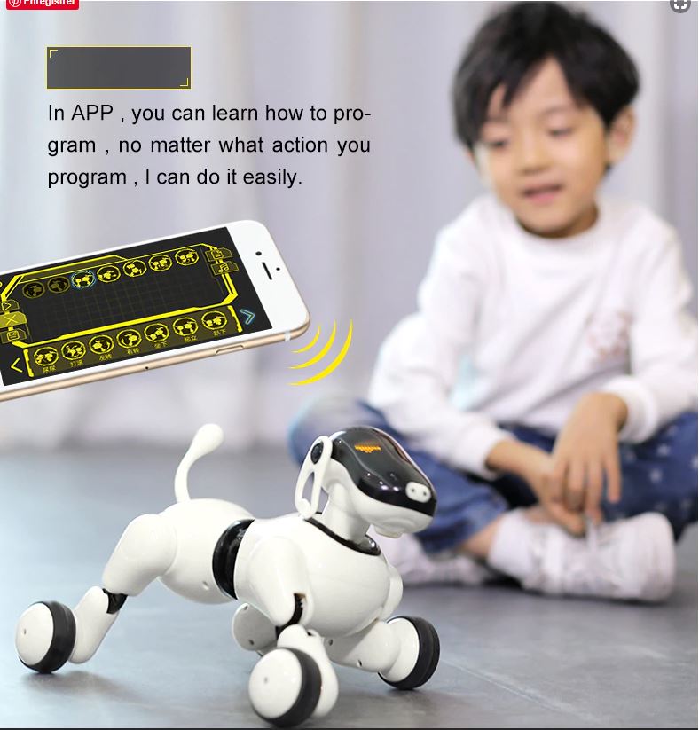 Chien robot 10