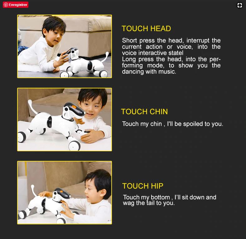 Chien robot 9