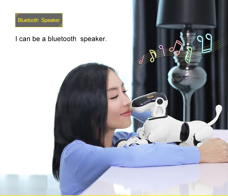 Chien robot 15