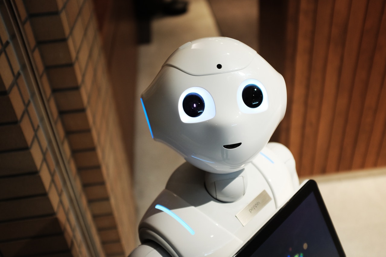 photo what robot domestique