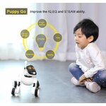Chien robot 3