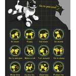 Chien robot 7