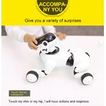 Chien robot 8