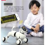Chien robot 10