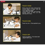 Chien robot 9