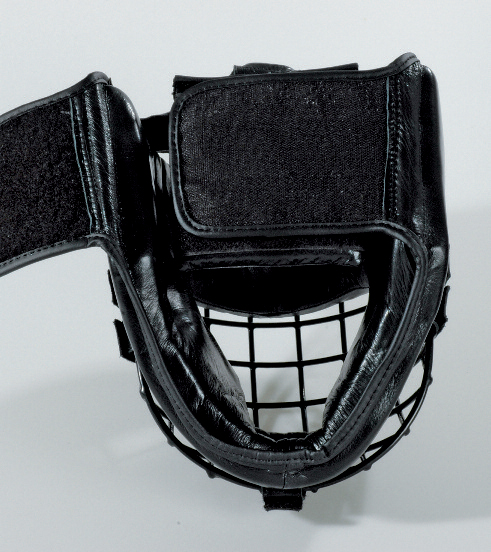 casque grille aikido