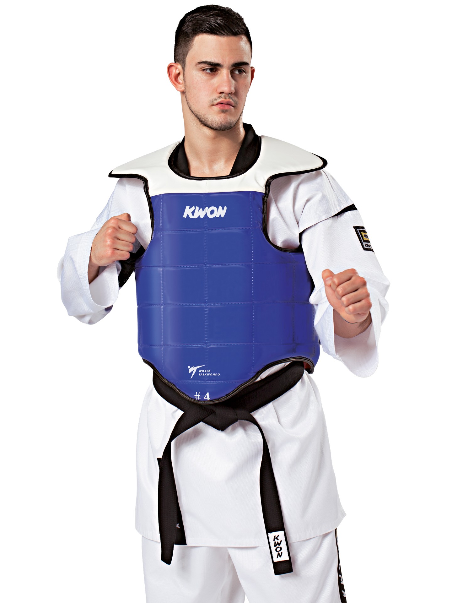 plastron taekwondo