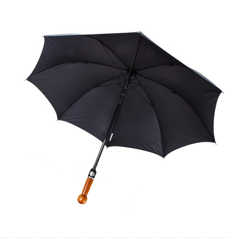 canne parapluie