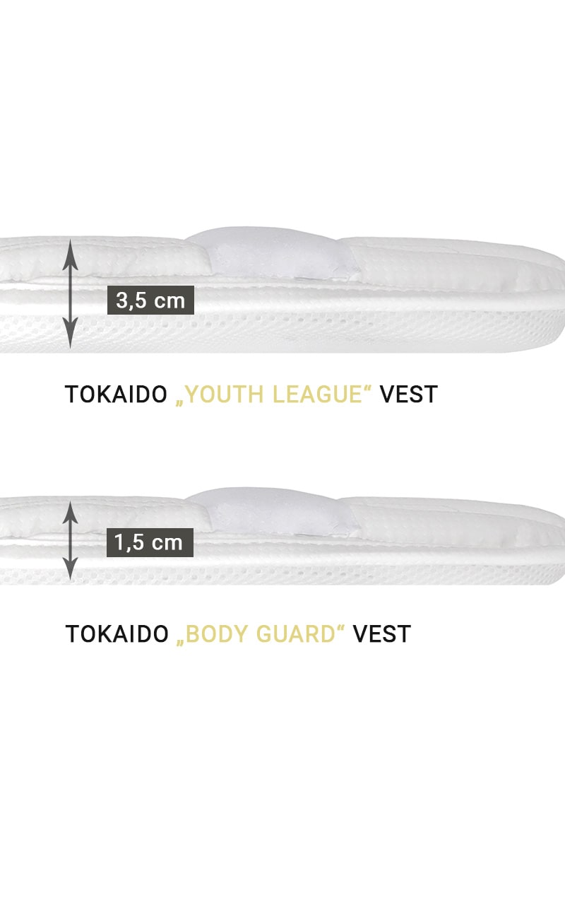 tokaido-karate-youth-league