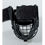 casque grille aikido