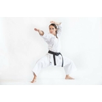Karategi_Elegant_kata