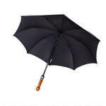 canne parapluie