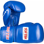 top-ten-gloves-blue-20102_1_2-1024x997 (1)
