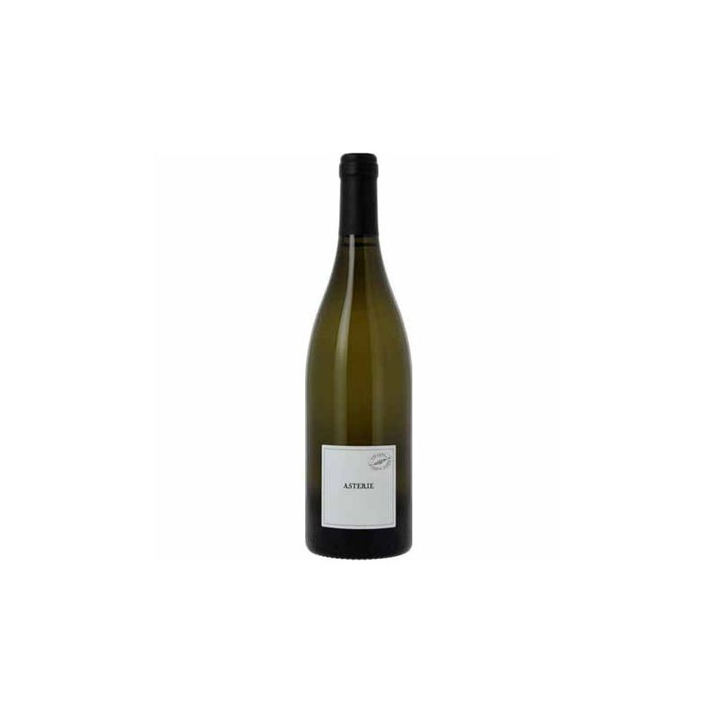 chateau-sainte-marie-asterie-sauvignon