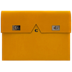 Crivellaro-Pochette-plate-Jaune-1