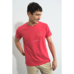 Tehari  B