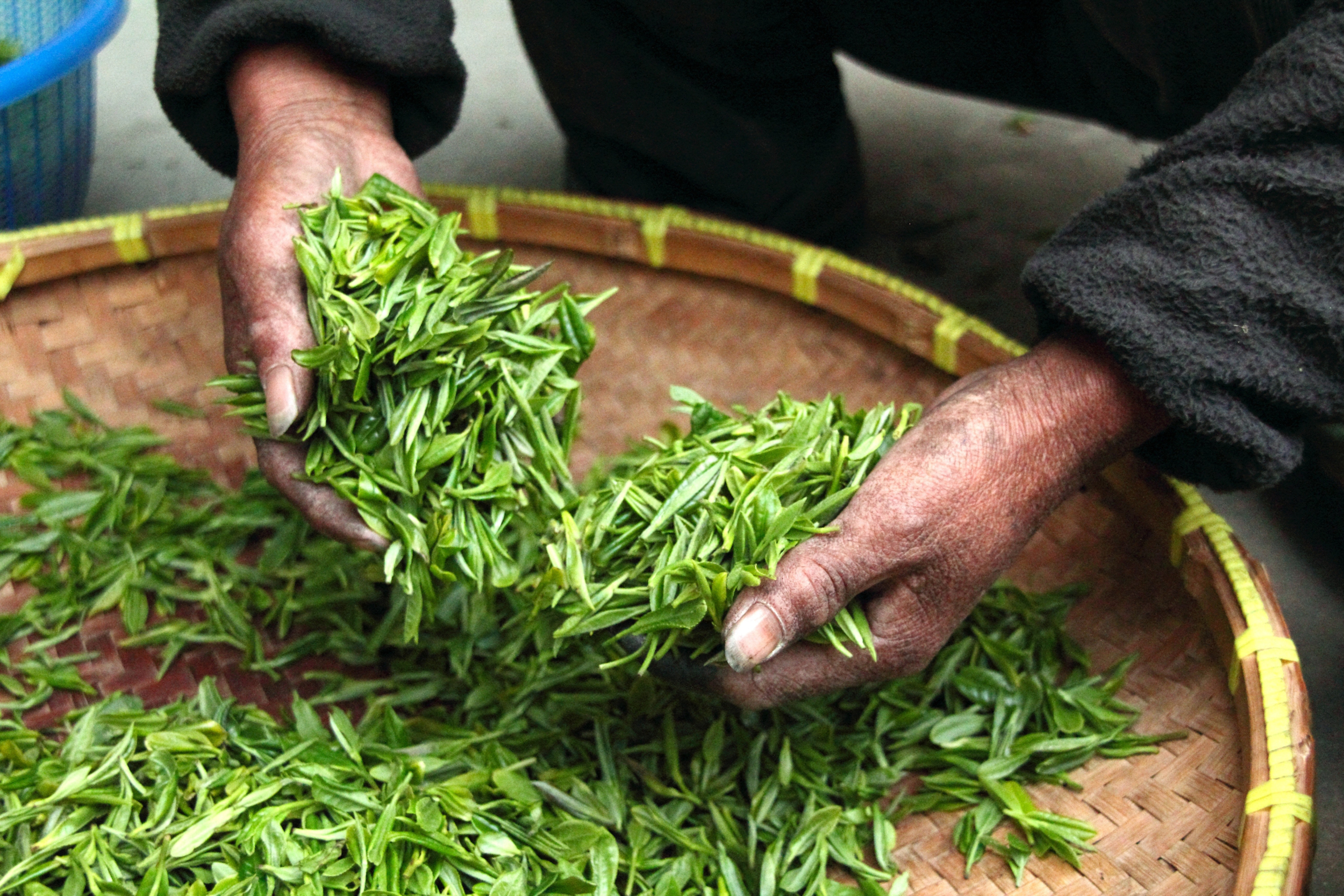 hand tea fresh farmhouse 39347v2