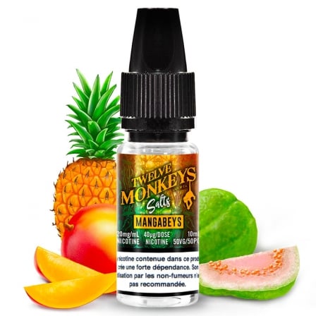 mangabeys-sels-de-nicotine-twelve-monkeys