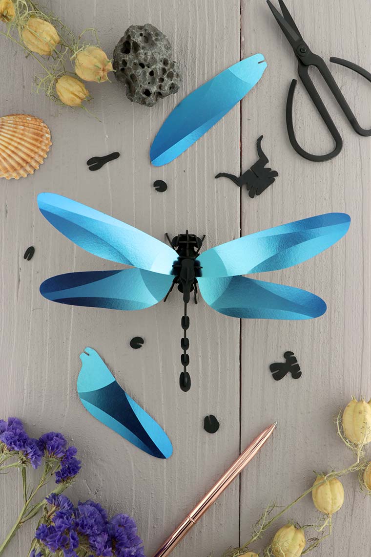 assembli-dragonfly-blue-low