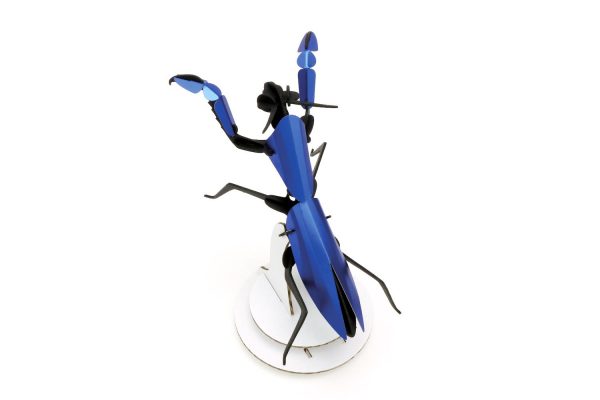 Assembli-Praying-mantis-blue-low-600x400