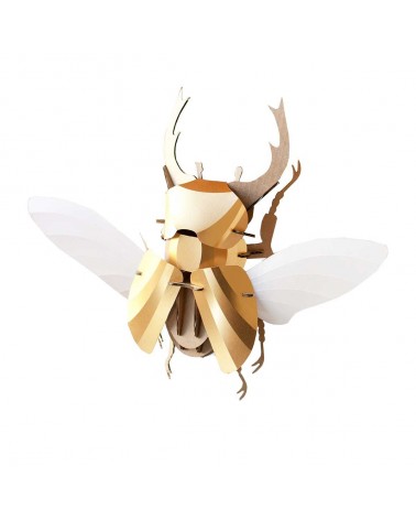 puzzle-3d-stag-beetle