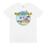 t-shirt-kame-house