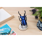 Assembli-Stag-small-cobalt-blue-low